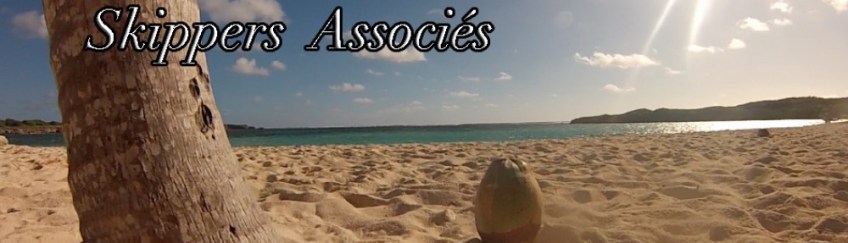 skippersassocies.wordpress.com