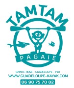 Decouverte de la mangrove