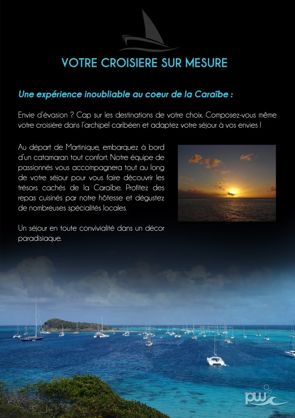 Plongee pierre Grenadines