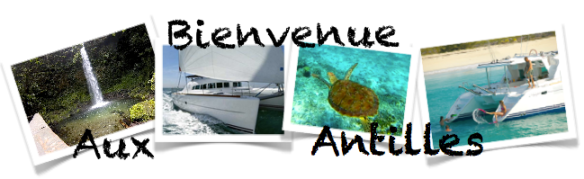 Location de catamaran Grenadines Guadeloupe